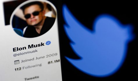 Elon Musk Buys Twitter - Why Are People Freaking Out?