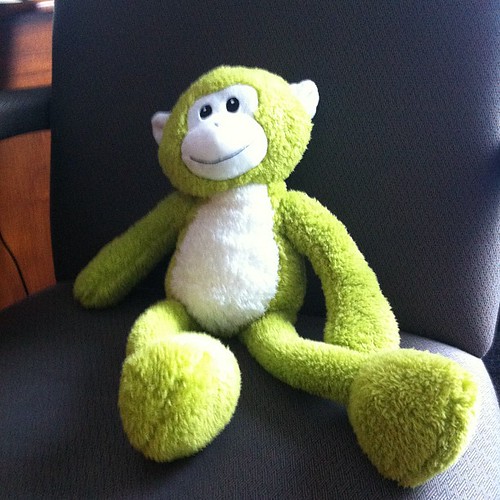 Monkey at my therapists office. by onefallinghope is licensed under CC BY-ND 2.0.